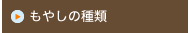 もやしの種類