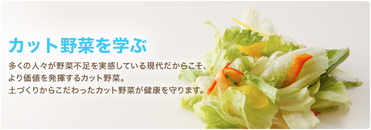 カット野菜を学ぶ