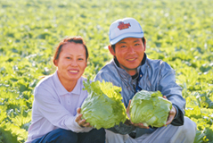 健全な土で育った、おいしい野菜を。