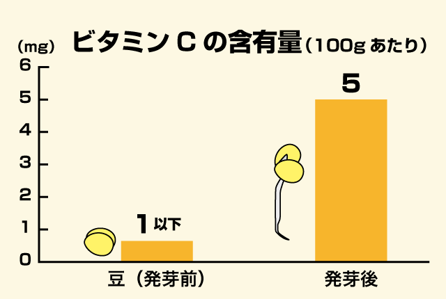 出典 五訂増補 日本食品標準成分表