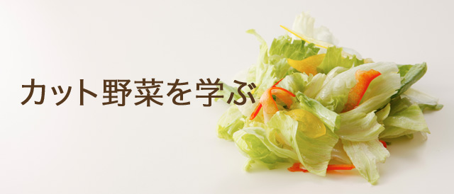 カット野菜を学ぶ